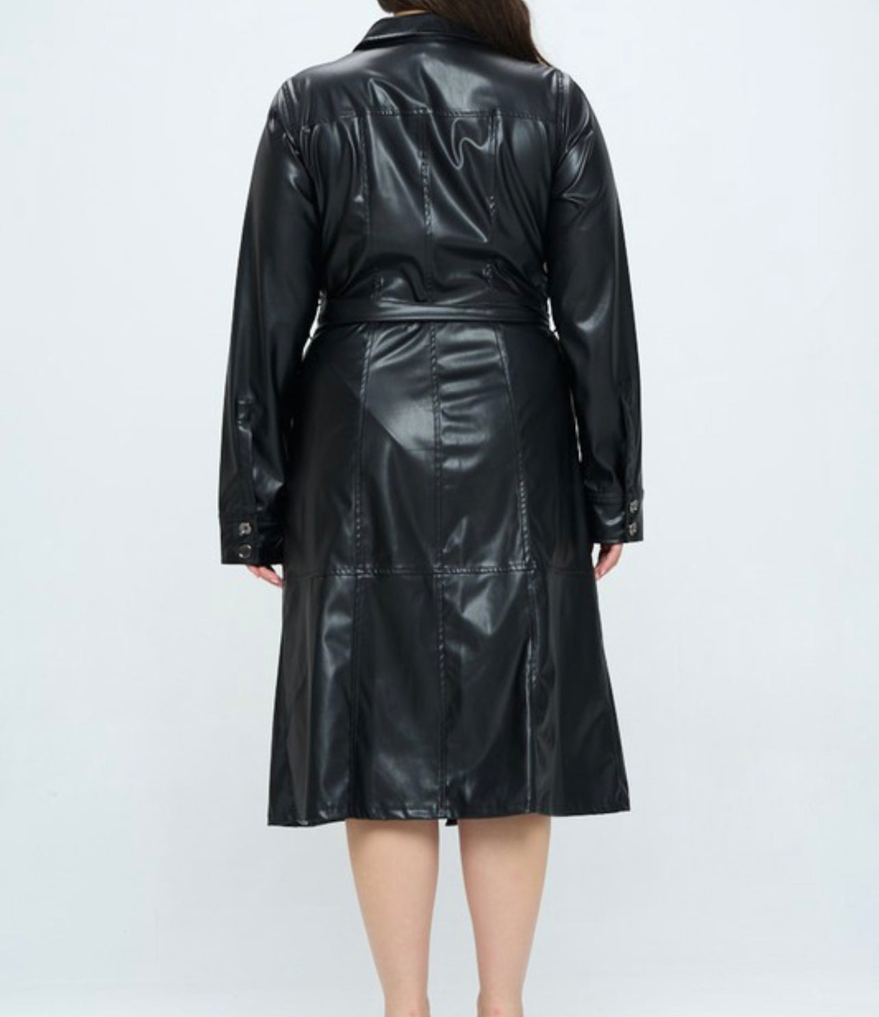 Stassie Faux Leather Dress